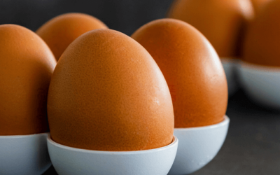 How much cholesterol do eggs have?